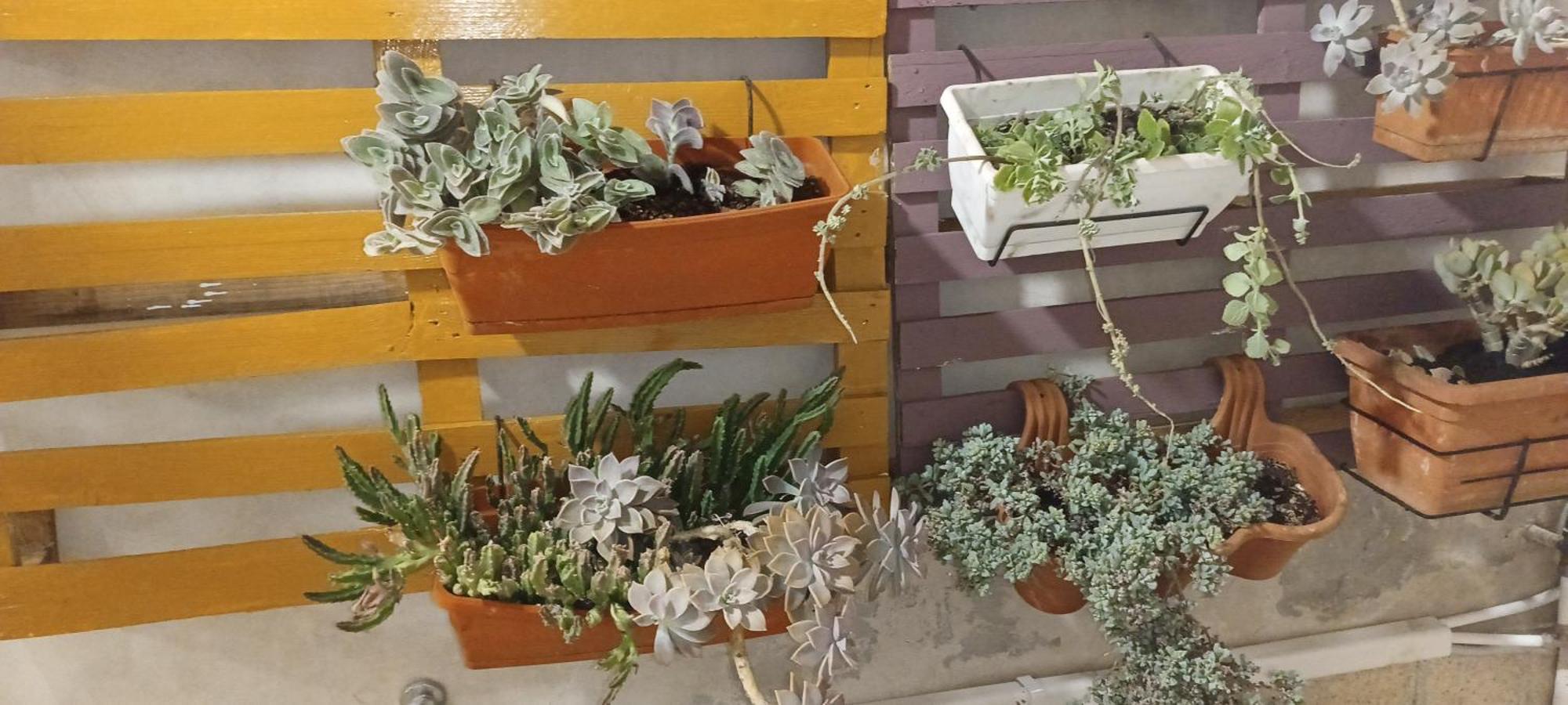 Appartamento Casa Ierone L'Etneo Syracuse Esterno foto